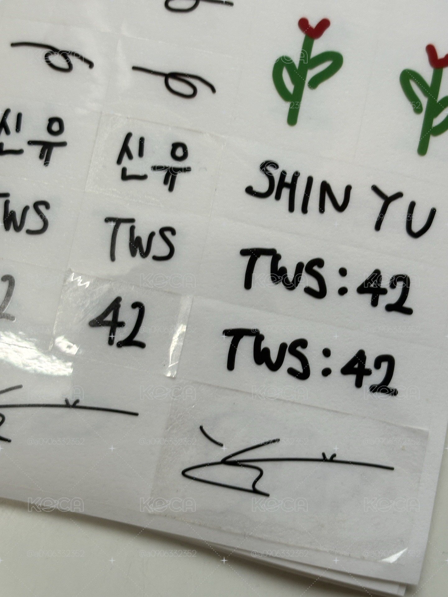 TWS:42 Selection Pack 回憶錄 
