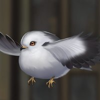 繡球