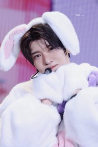 nctlover