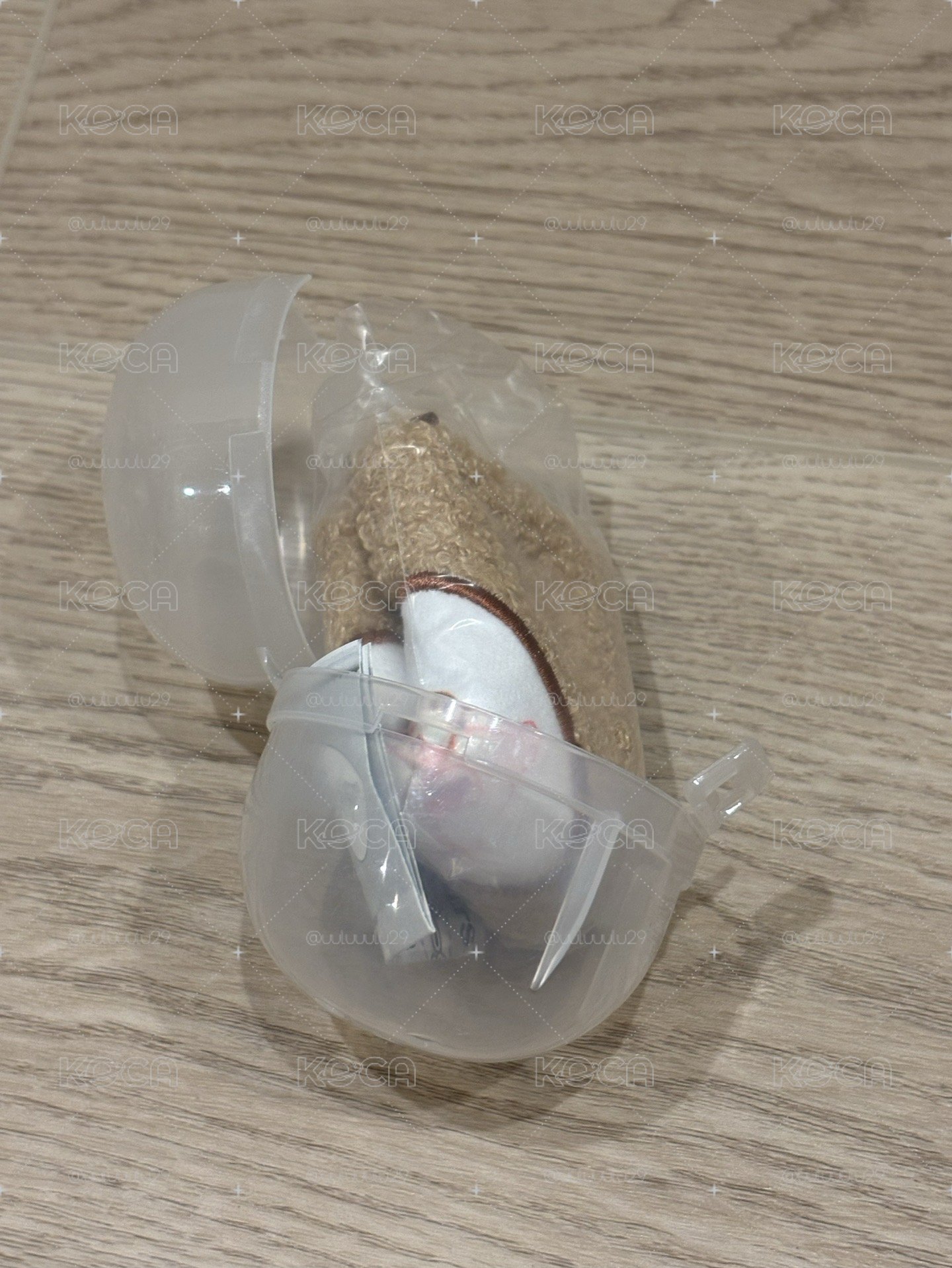 只有包包歐
