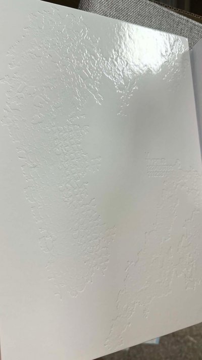 type 非 寫真