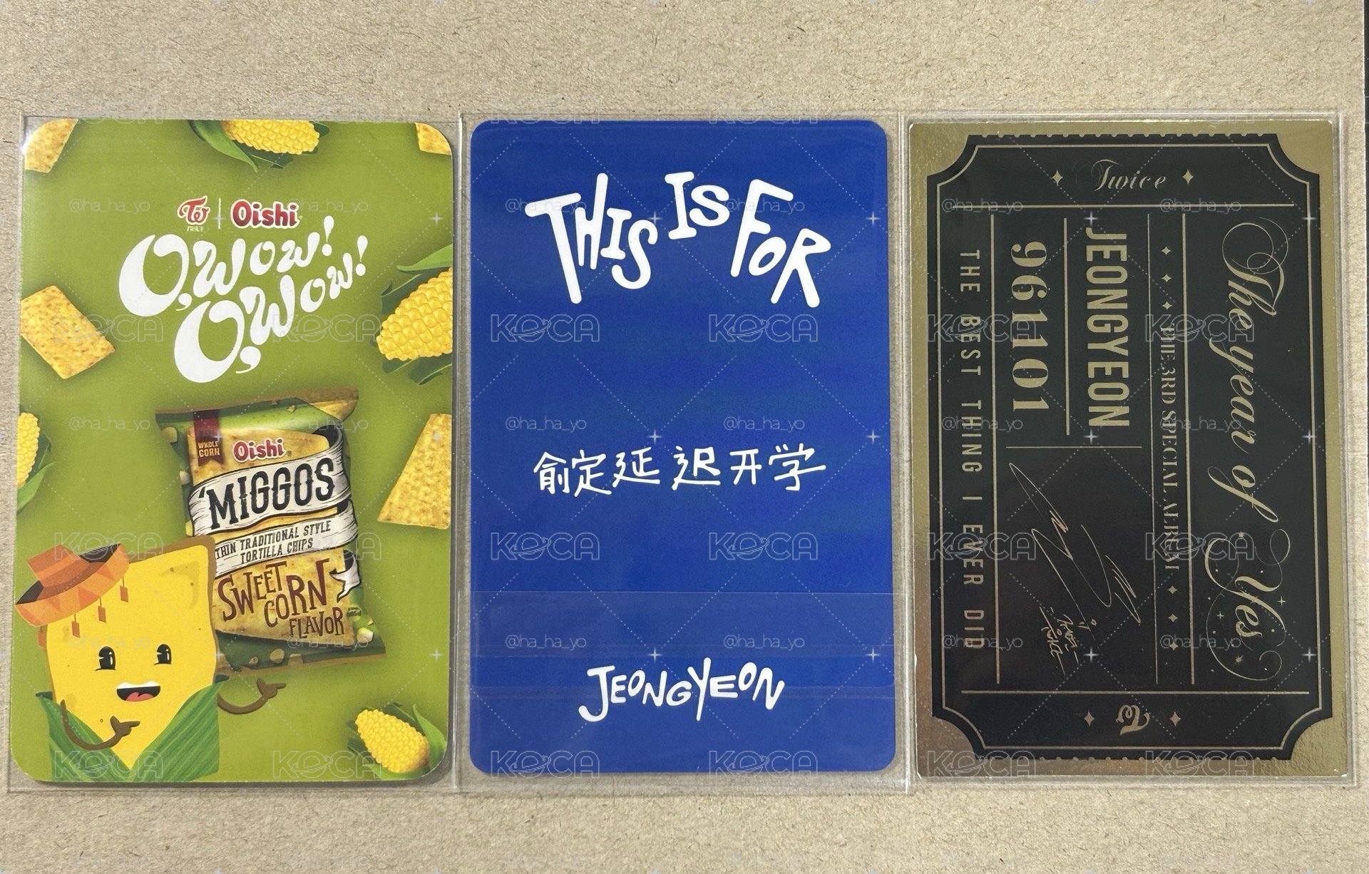 定延｜叮叮特殊卡背小盤 💚