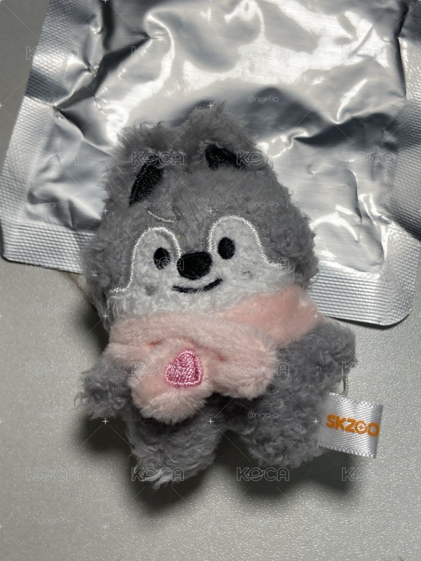 原皮燦