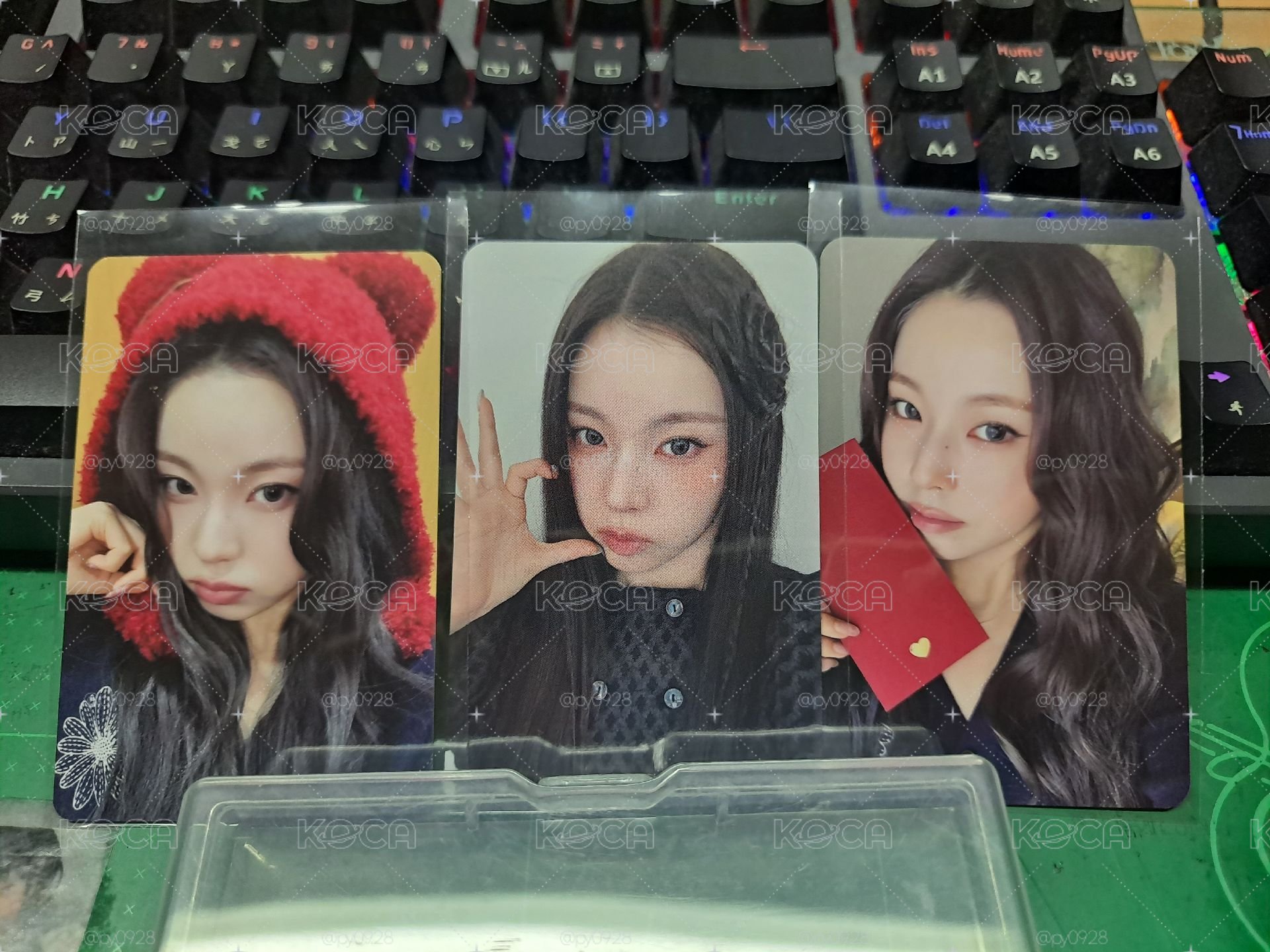 圭 紅包+熊熊+合影