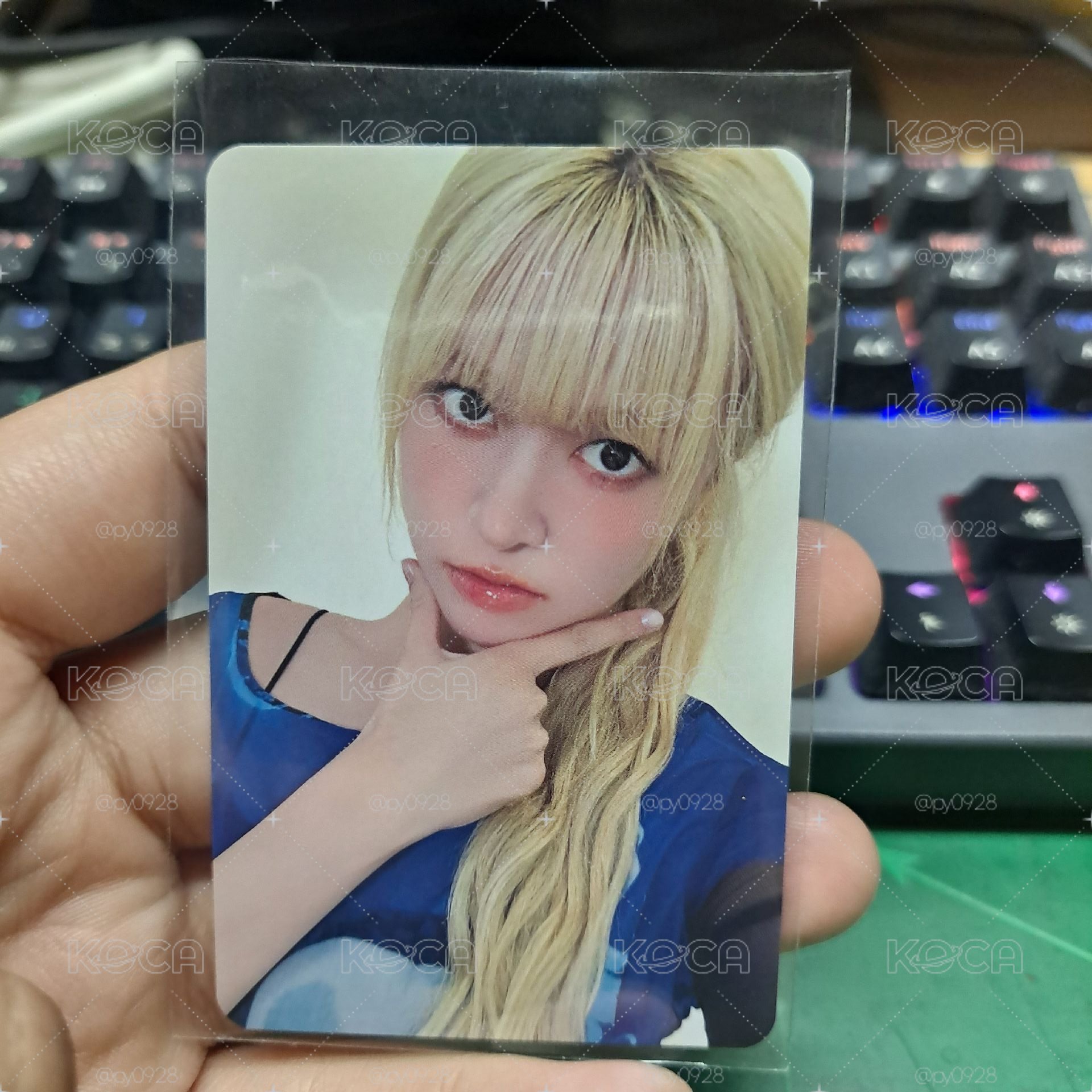 莉 香港合影