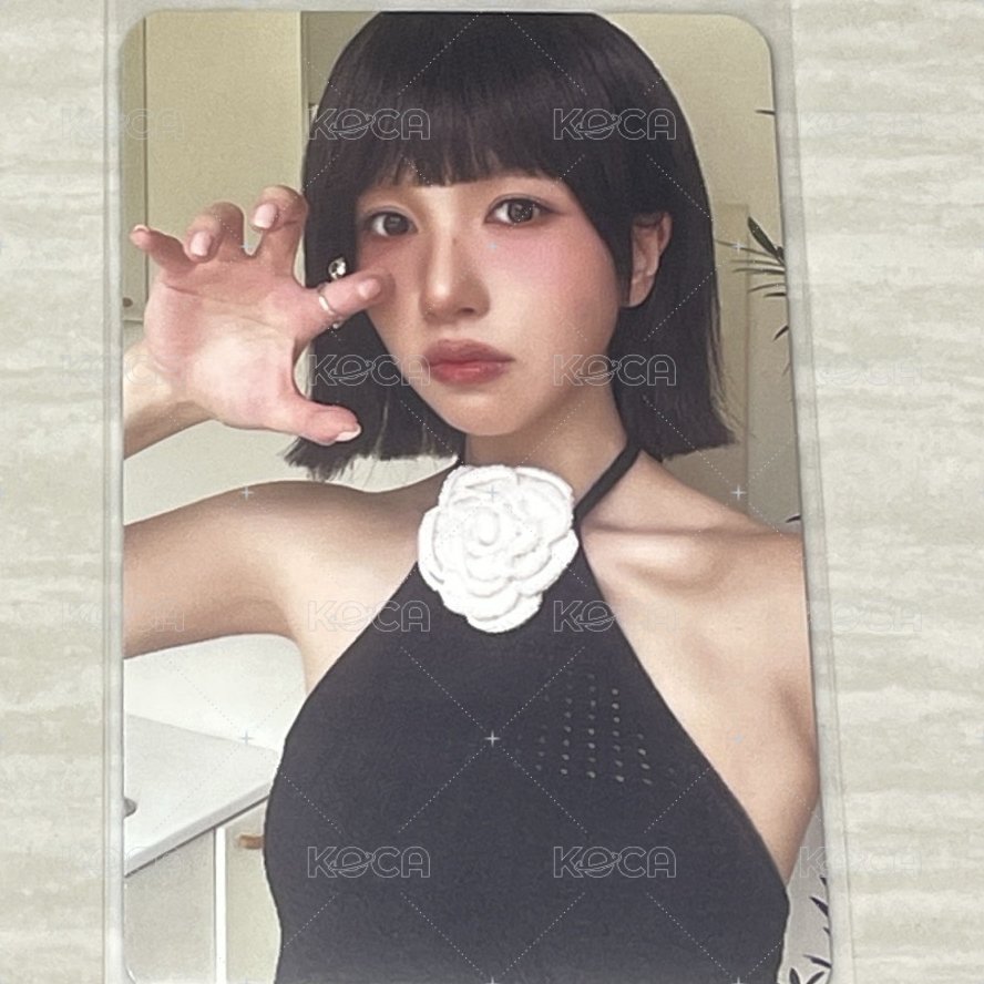 貓爪南