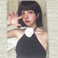 貓爪南