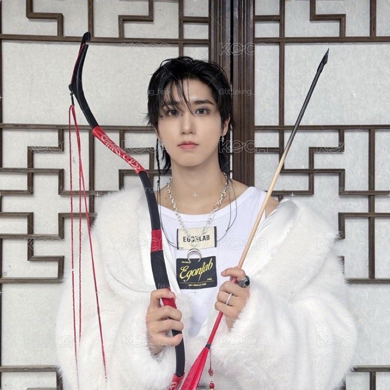 【Stray Kids】「韓知城」SKZ Han 城 卡盤 專卡 小卡 特典