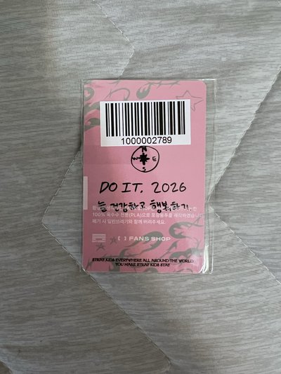 【Stray Kids】SKZ 小卡 燦 旻 彬 辰 城 菲 玟 寅 do it fan 2.0幸運卡
