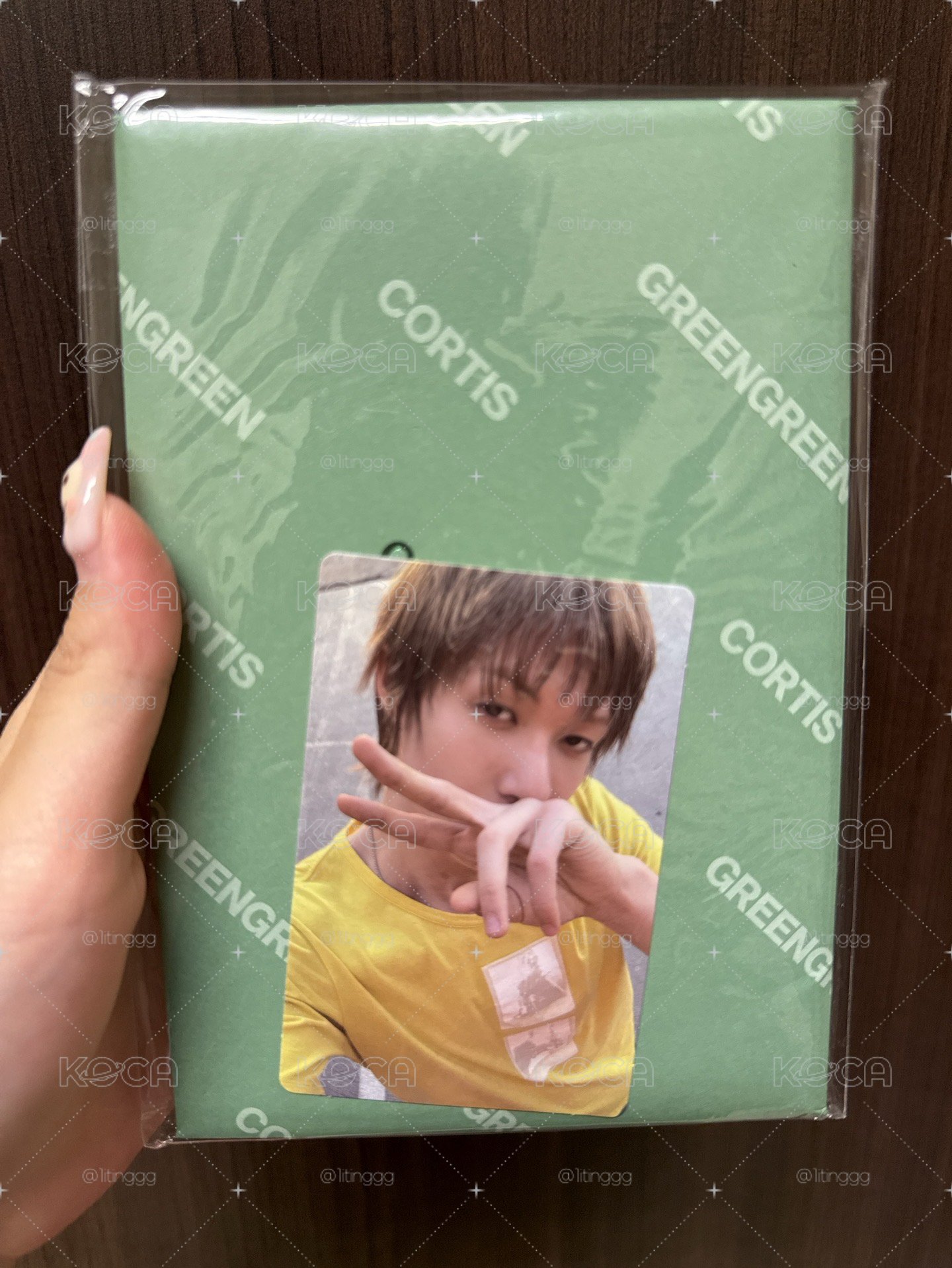 綠版全專馬