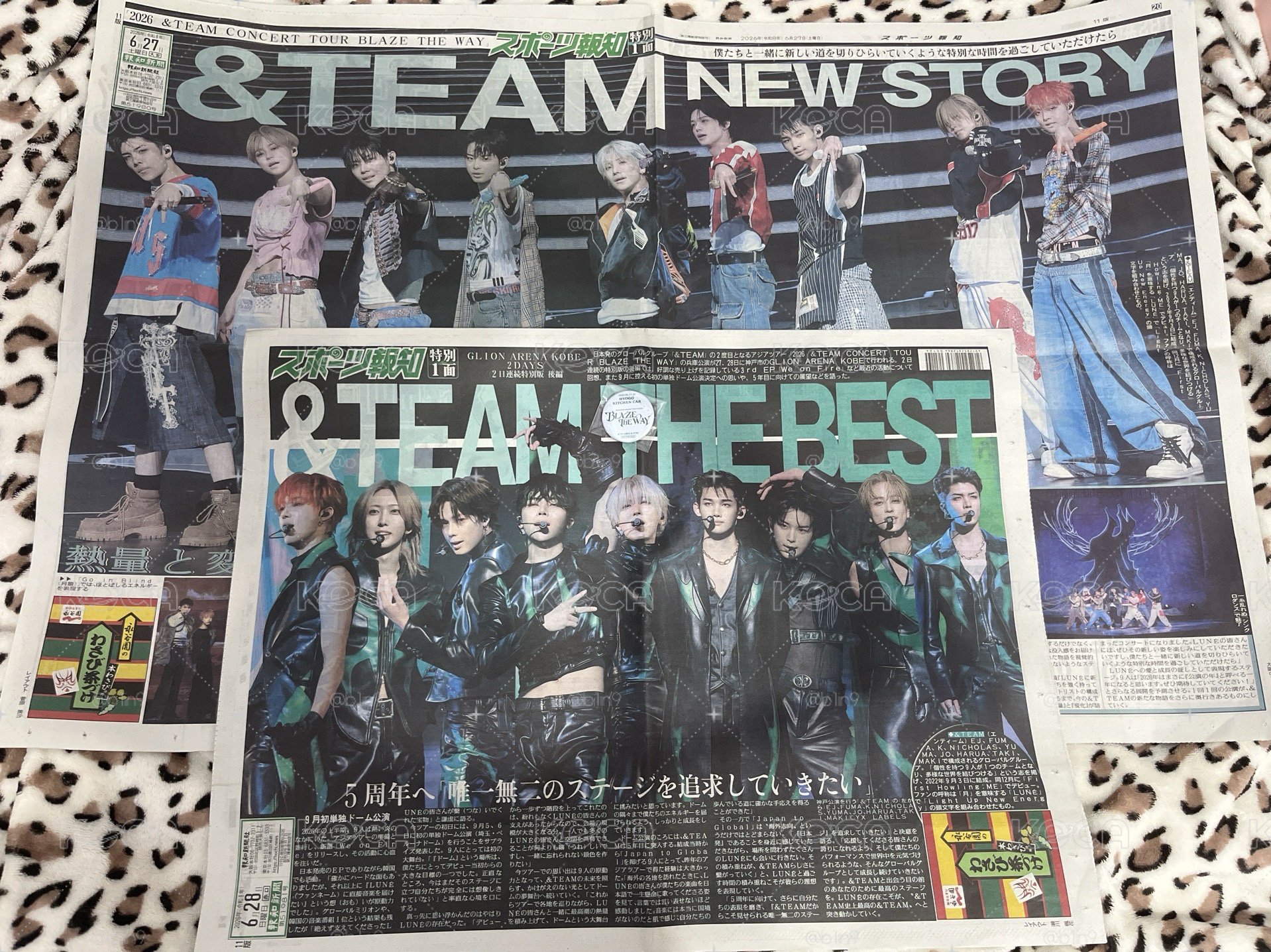 &TEAM 日場報紙