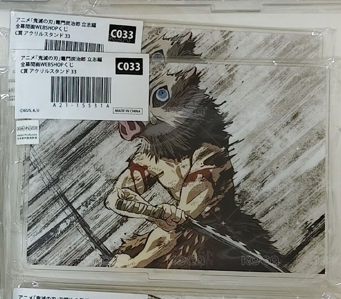 受傷豬豬