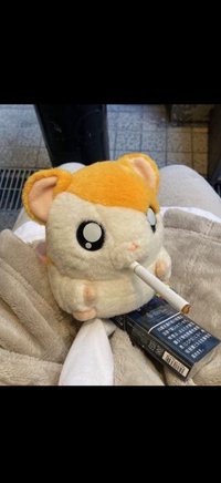 cc