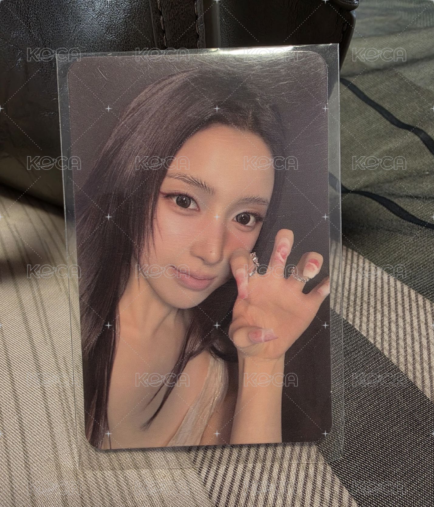 🐶藍情專卡