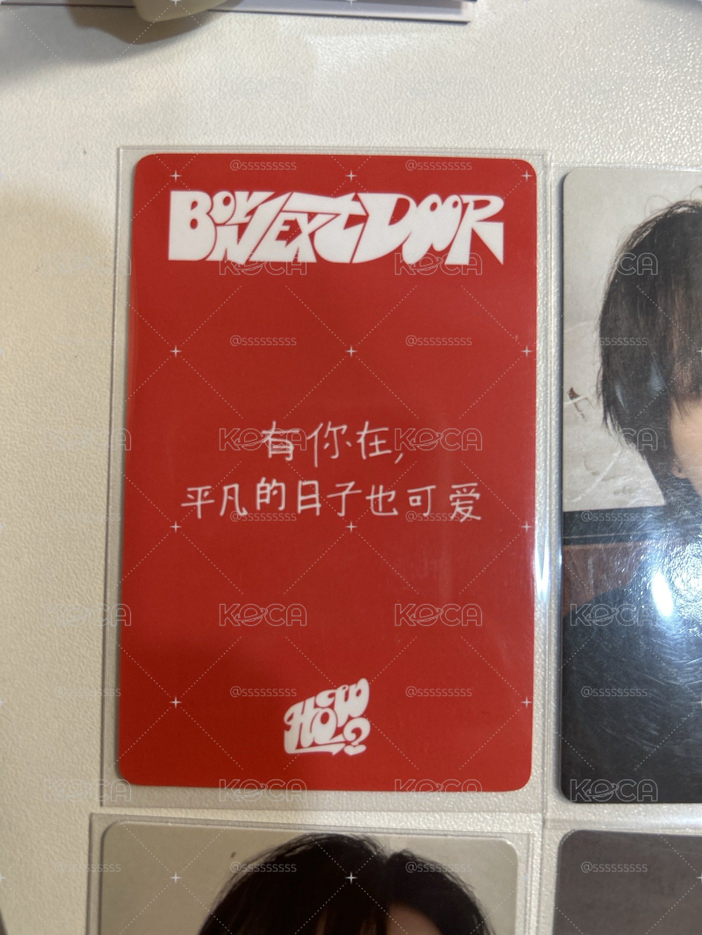 成淏中背盤盤
