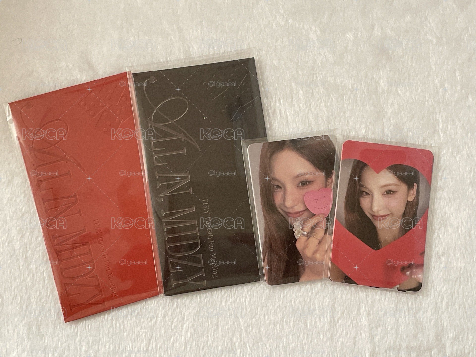 day1+day2入場卡 票根