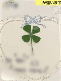 單一 四葉草 逆應援  簽名卡 