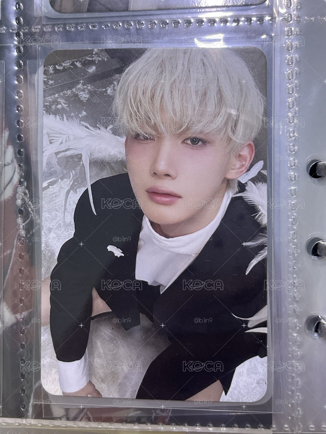 BTL 專輯卡 WVS Albums ver