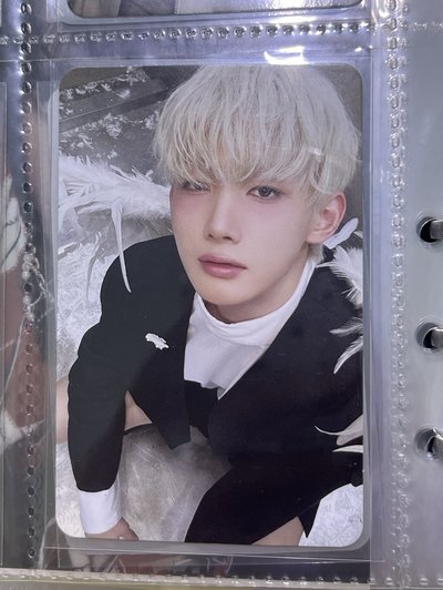 BTL 專輯卡 WVS Albums ver