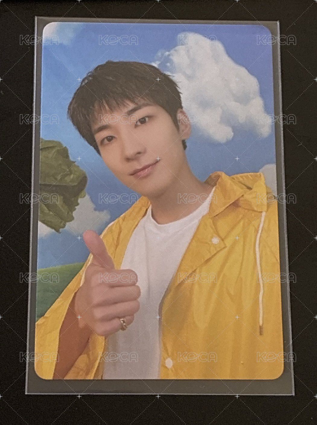 WonWoo迷十一克拉盤隨卡