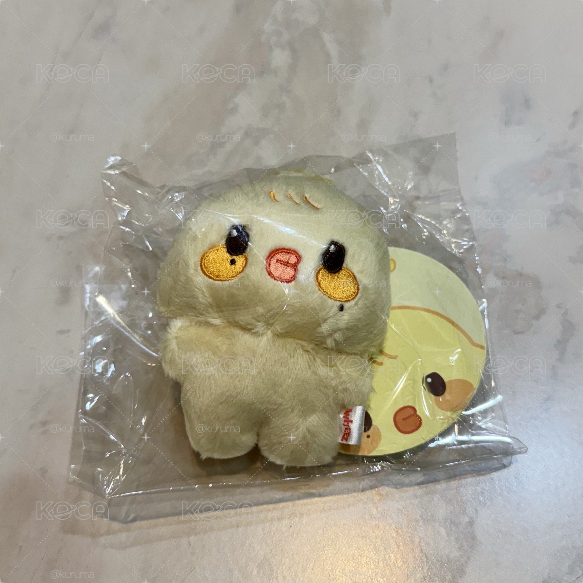 寶寶雞