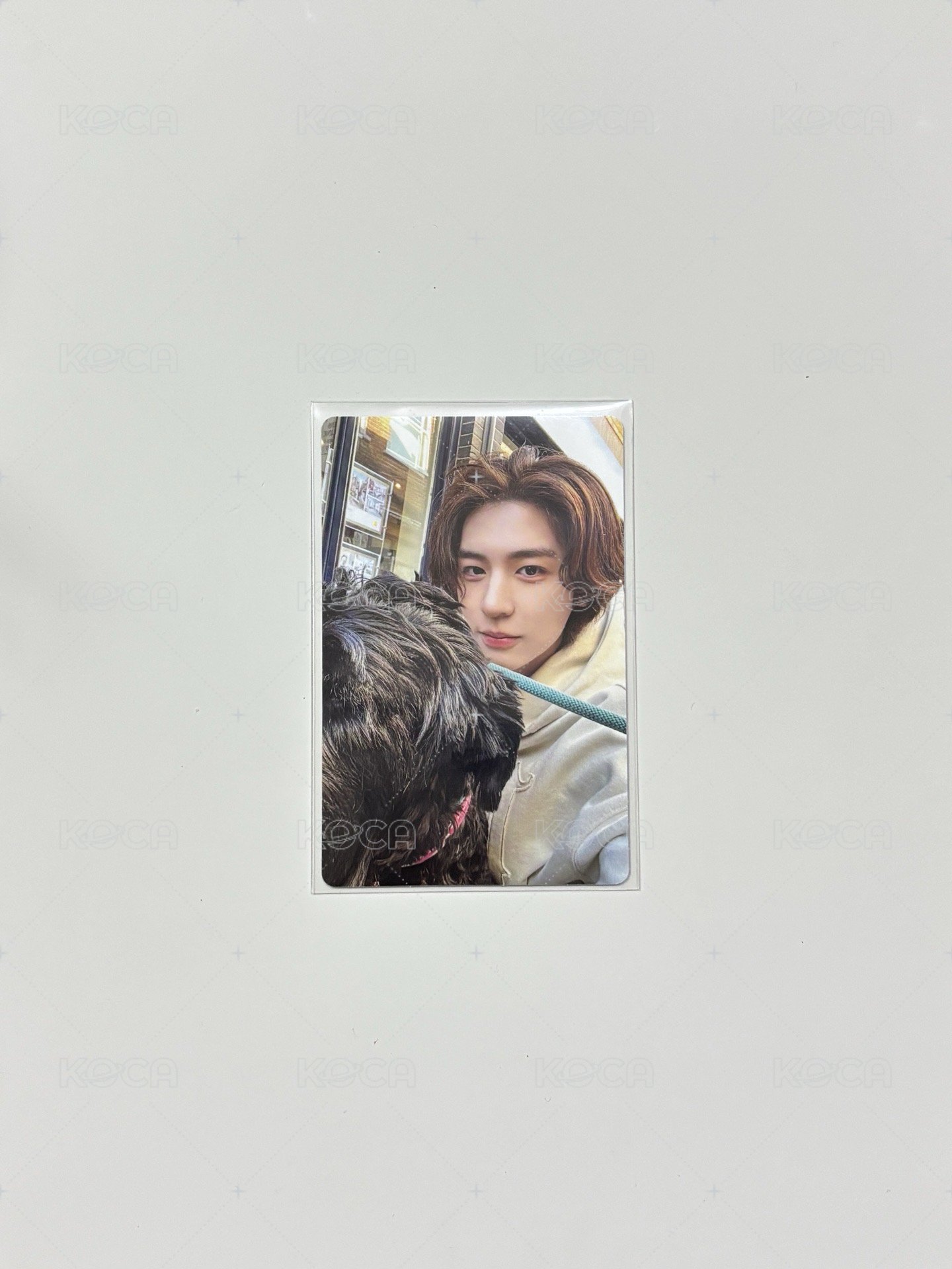 LEEHAN3️⃣