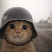 賭博失敗