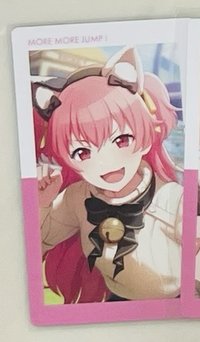 貓混愛莉花前
