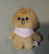Quokka