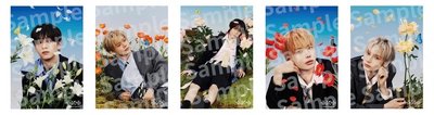 TXT 日單5 塔店/hmv通路 海報 一套