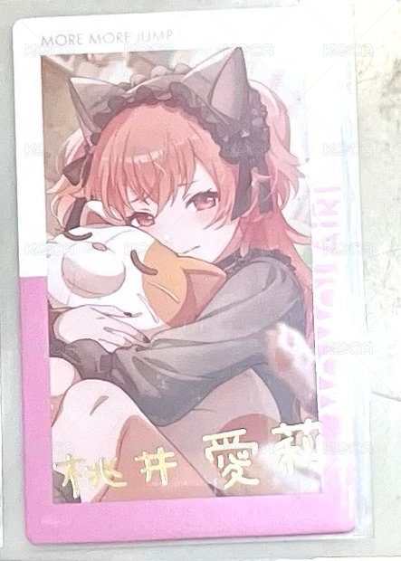 貓混愛莉簽