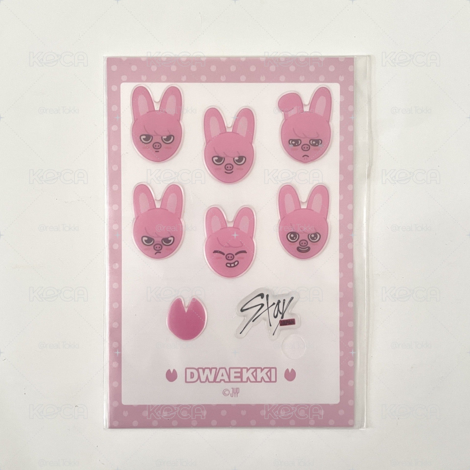 現貨 全新未拆 SKZOO 菲夜燈扭蛋