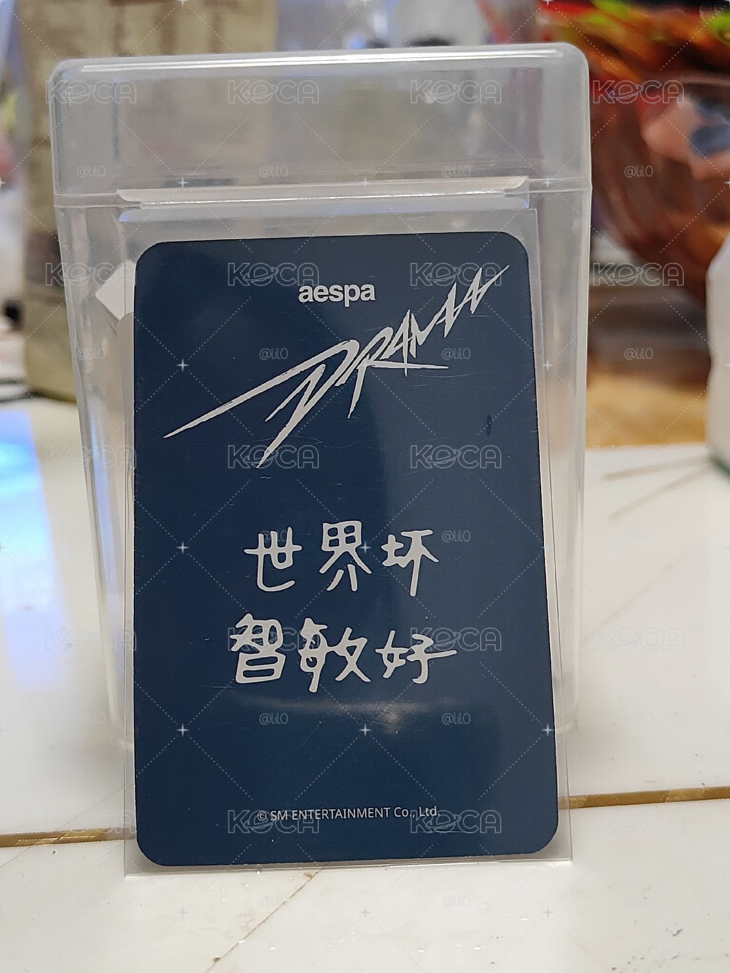 sr中背柚(世界坏 智敏好)