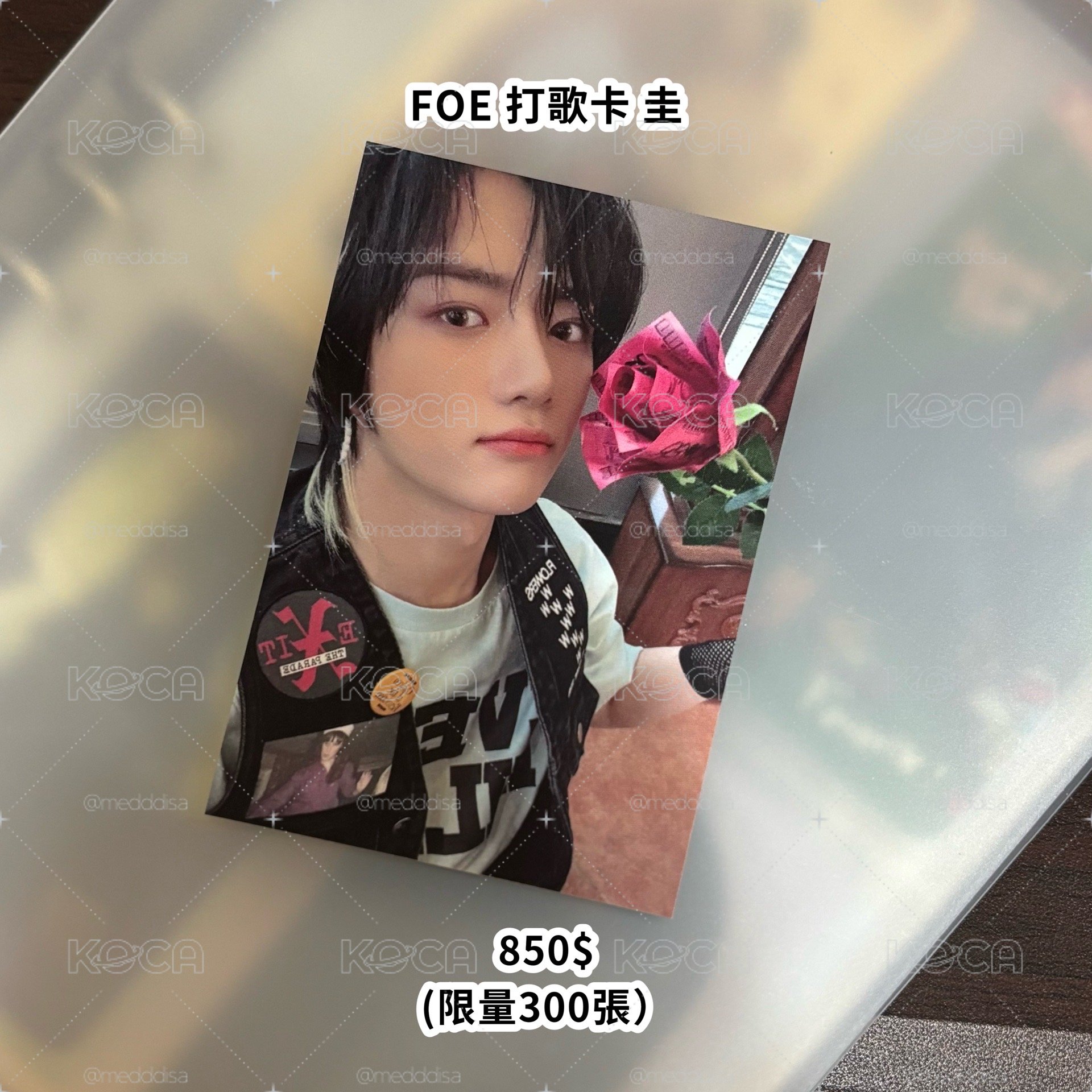 TXT FOE 打歌卡 圭