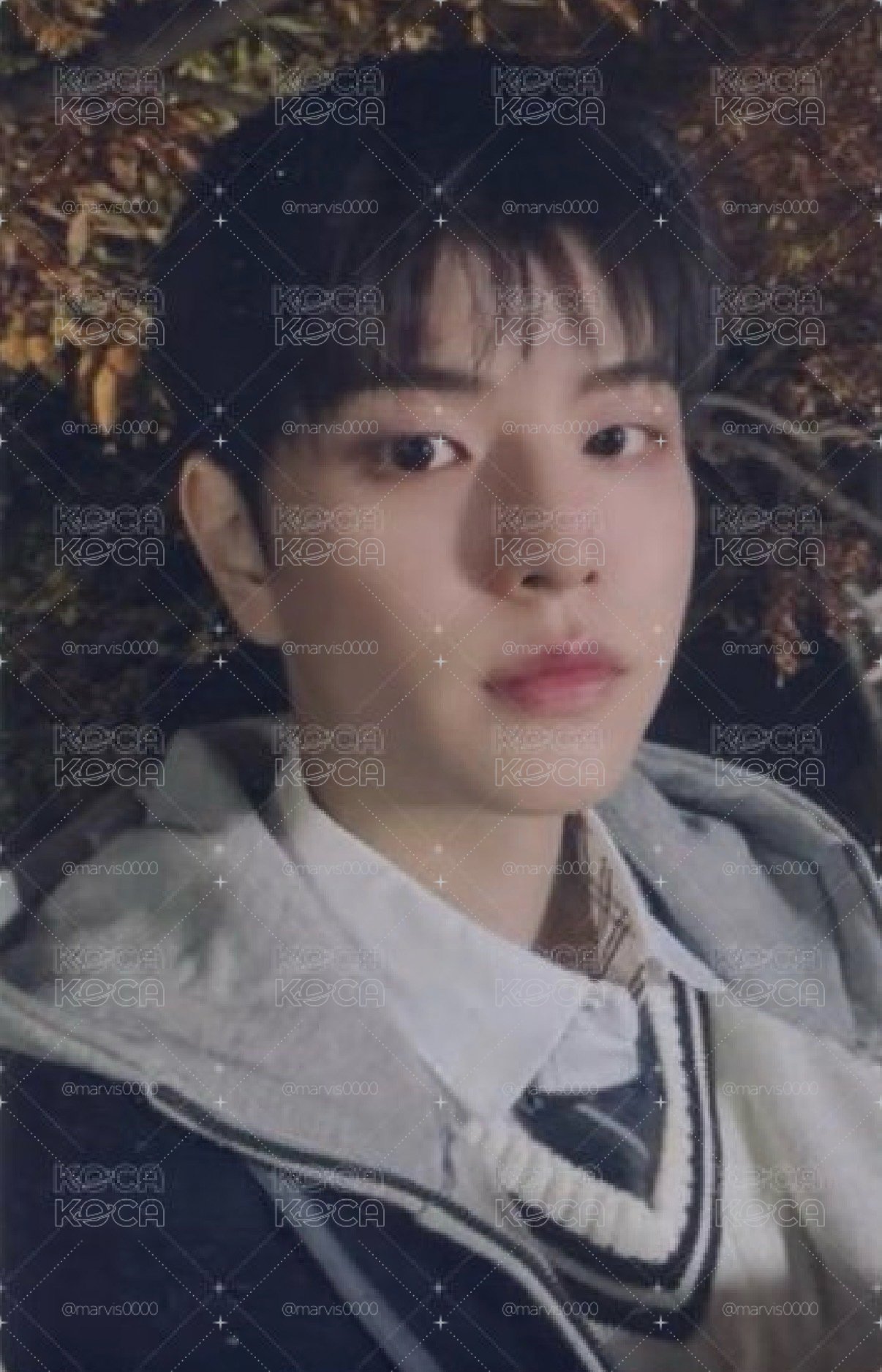合(HOP) jyp 電子專 特典卡 