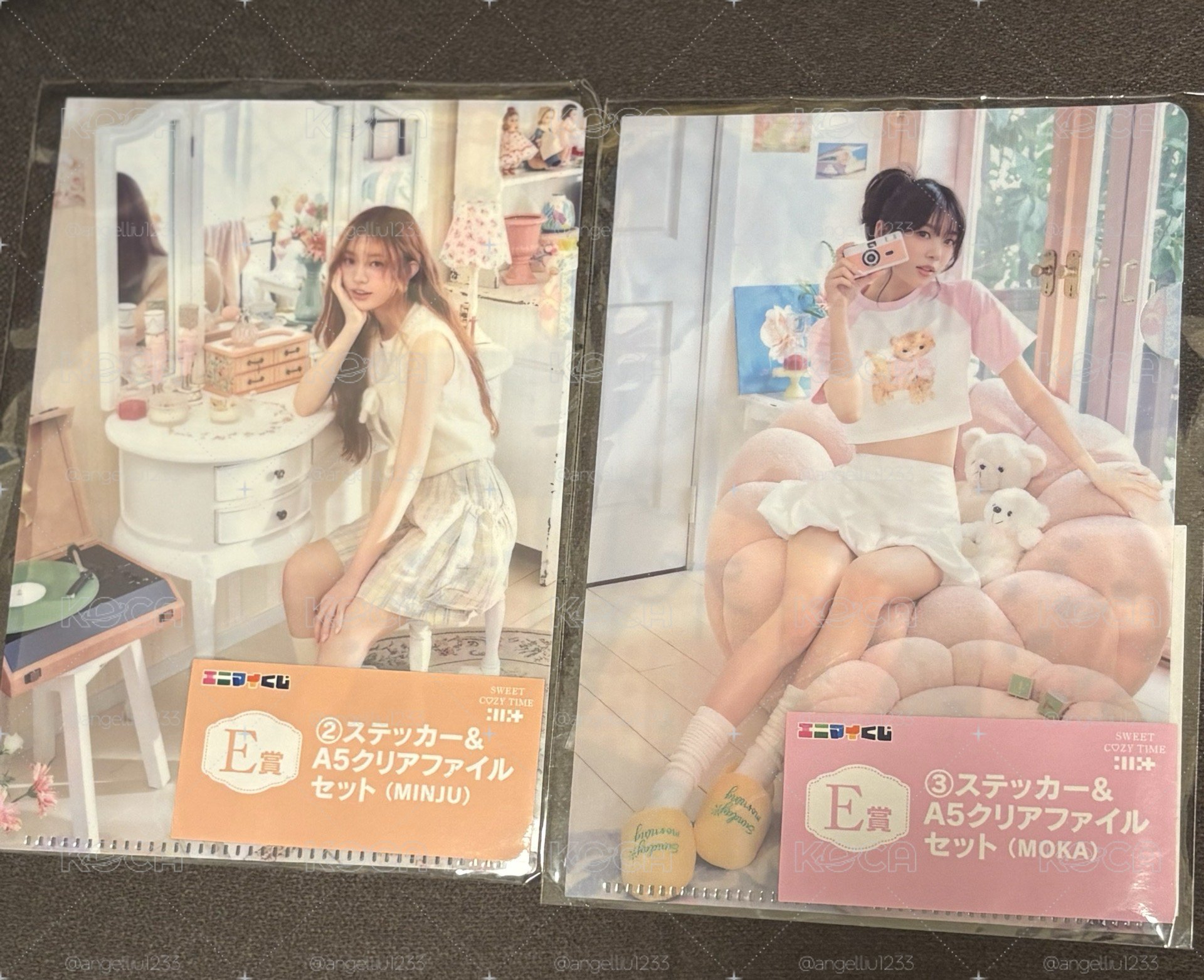 ✨Illit25年一番賞資料夾 柱🐰