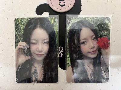 Rizz中背珍兩張
