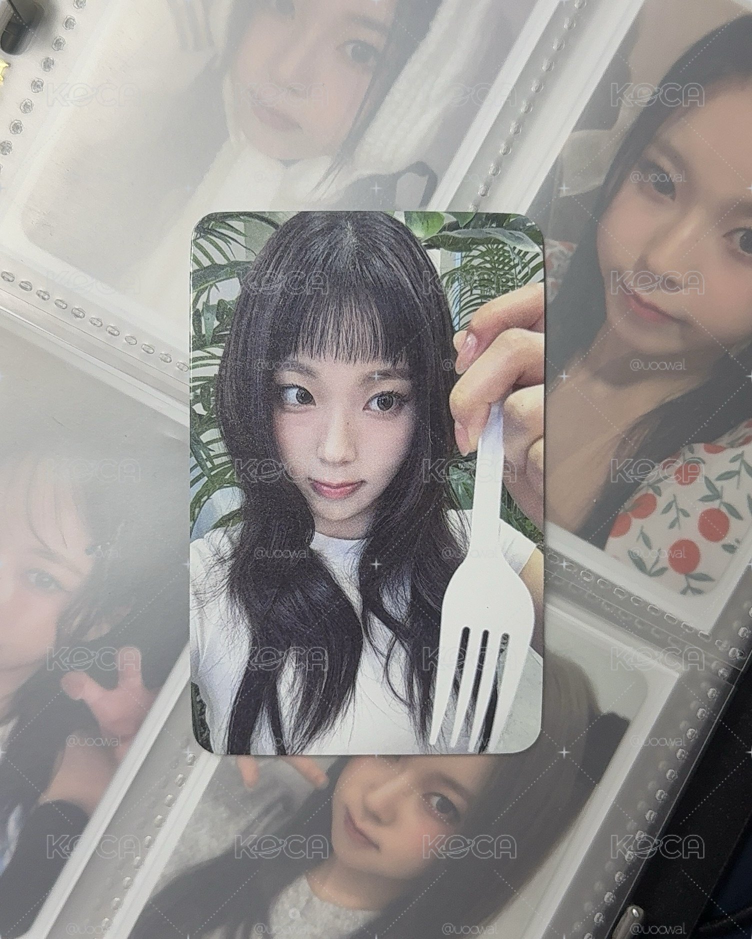 NMIXX｜禮儀圭