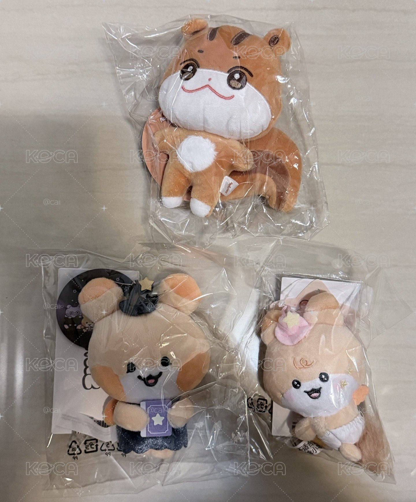 中拉米小盤