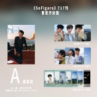 SoFigaro A版
