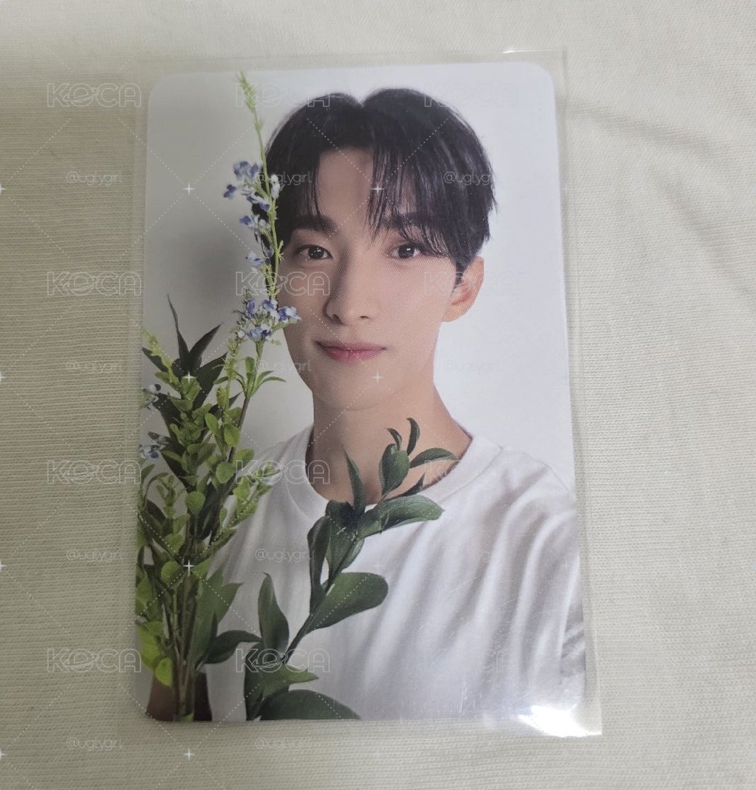 精選專 專輯卡 CARAT ver._DK