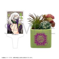 觀葉植物盆栽組 2026巴拉姆生日周邊