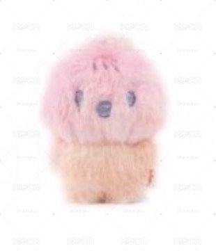Search image