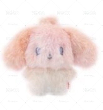 Search image