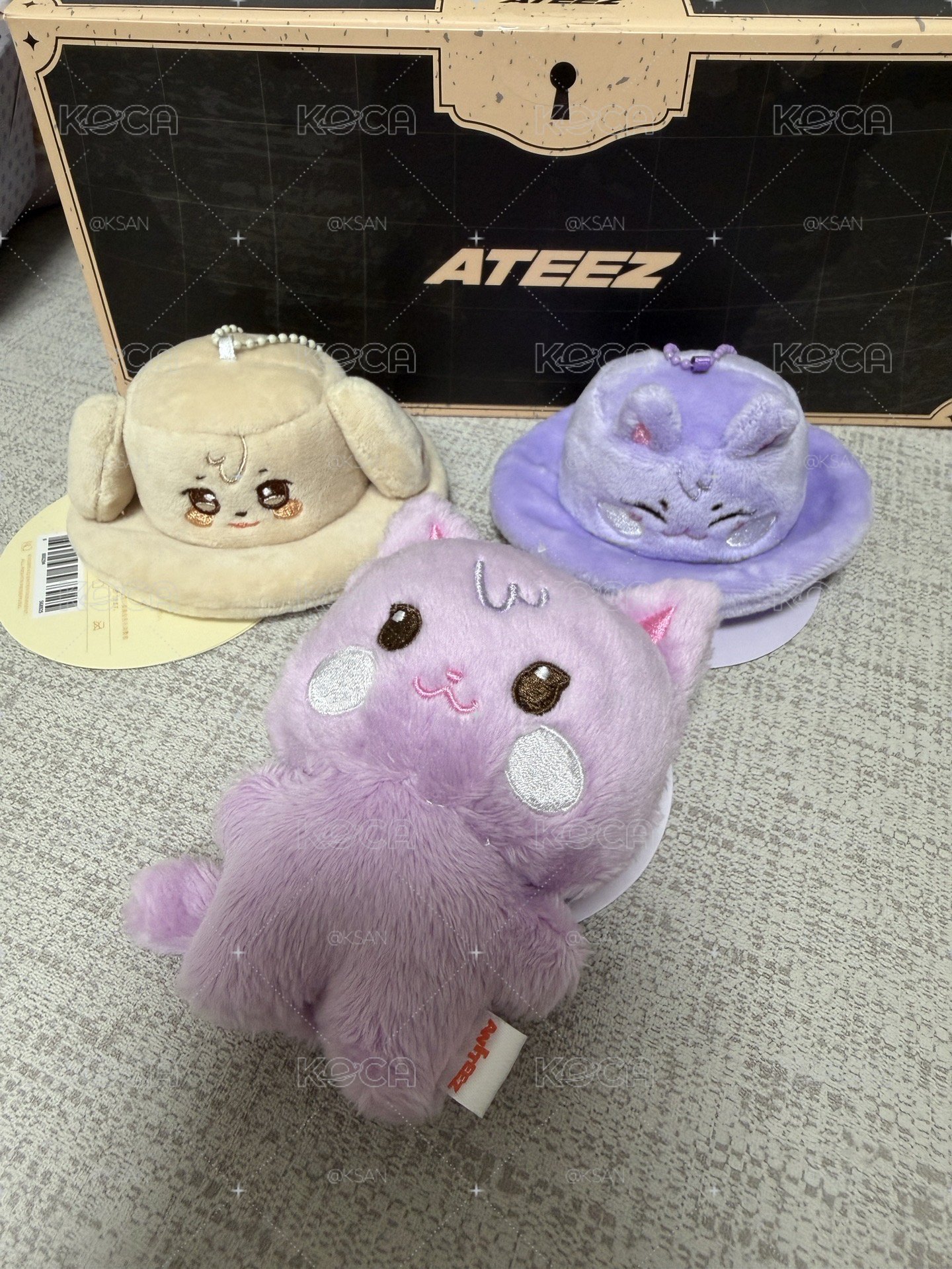 Aniteez 小盤出 (含寶寶娃卡）