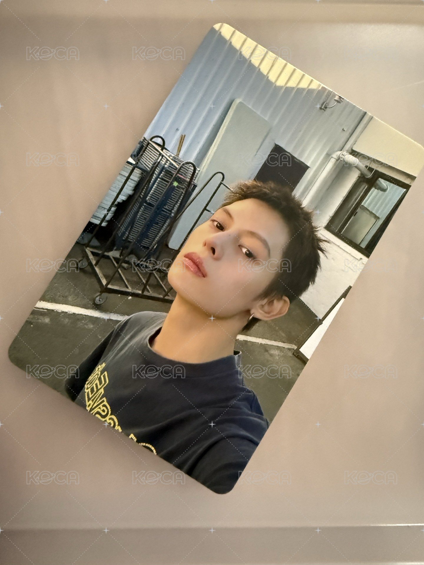 環球預售