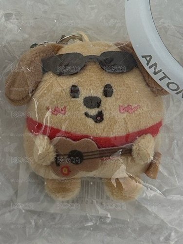 全新