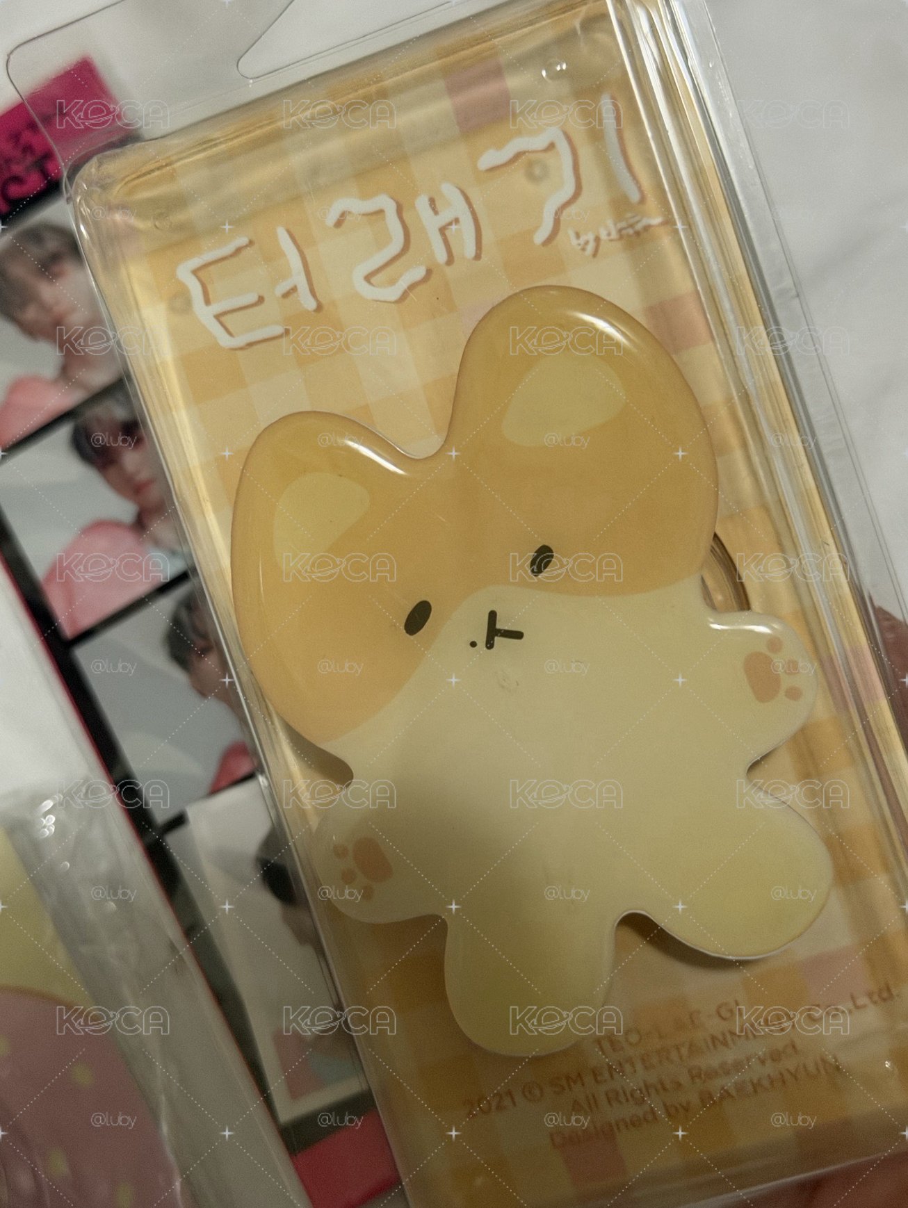 特萊奇 小盤