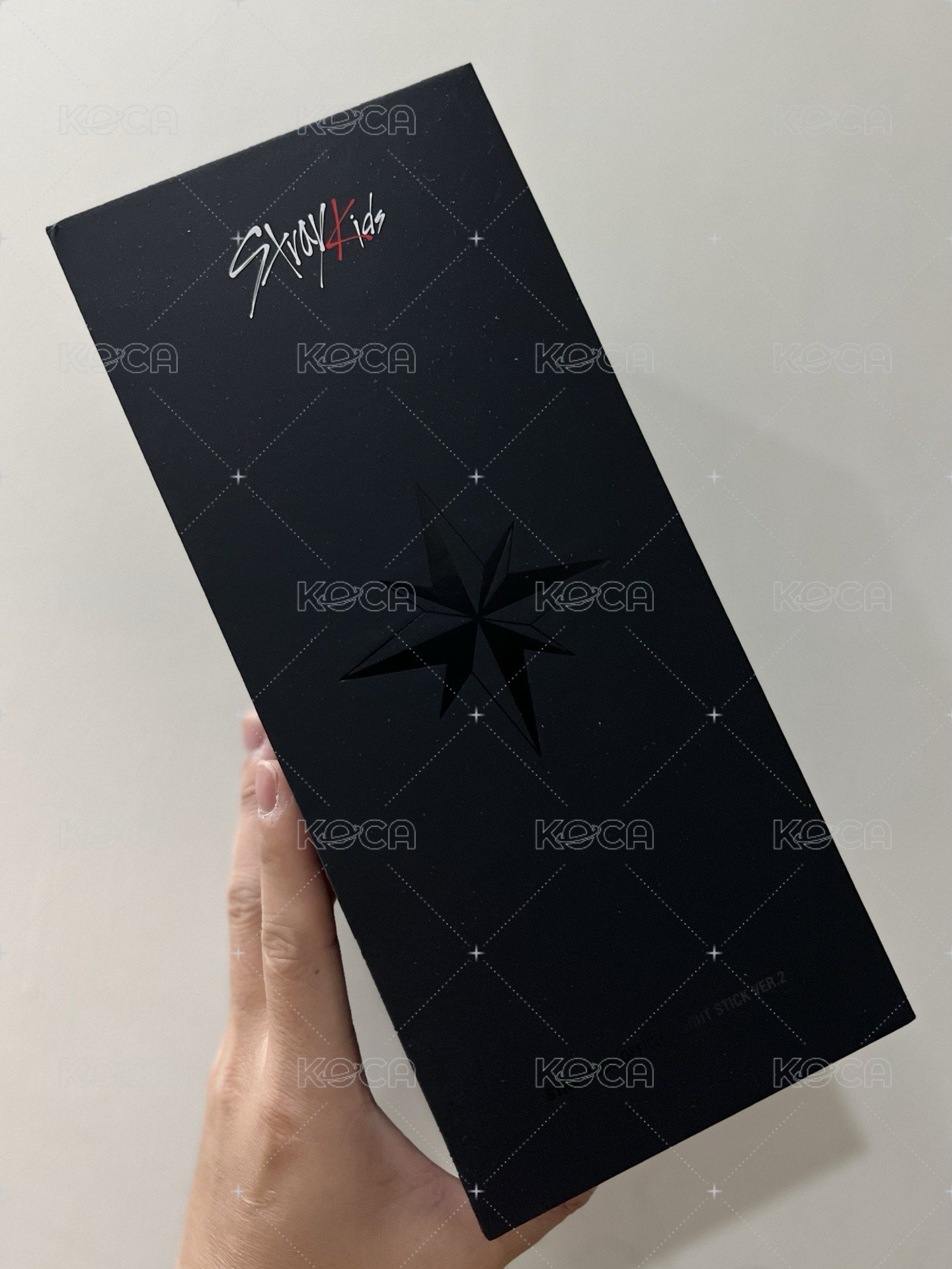 【現貨】全新未拆Stray Kids 二代手燈
