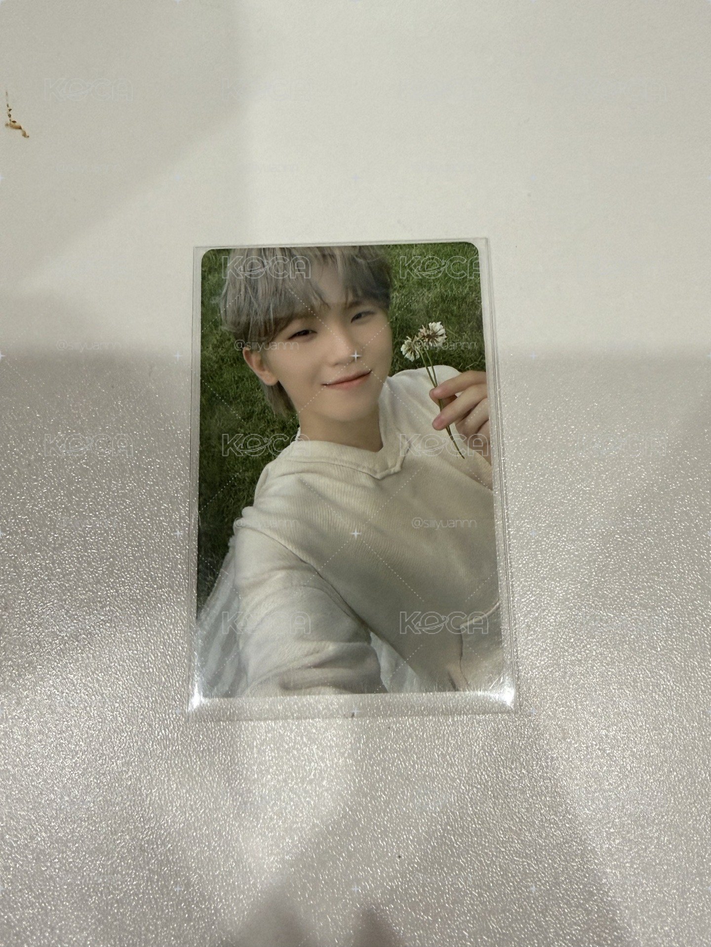 💛拿花勳、迷十榮hmv特典卡